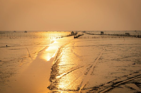 Découvrez les blogs ultimes pour un voyage économique: Inspiration garantie !